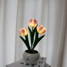 Load image into Gallery viewer, Enchanted Tulip Glow
