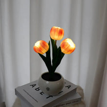 Load image into Gallery viewer, Enchanted Tulip Glow
